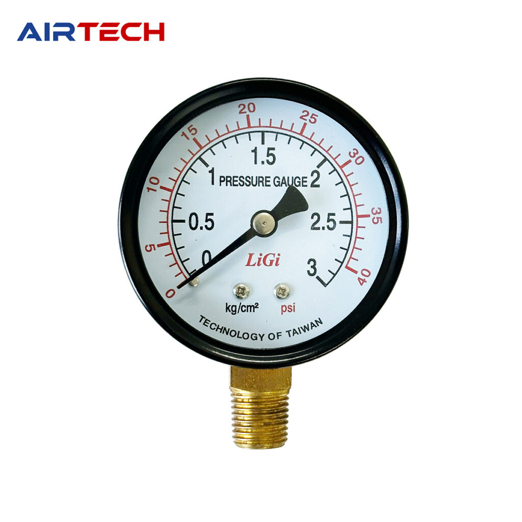 Đồng hồ áp suất LiGi không dầu mặt 63 mm chân đứng