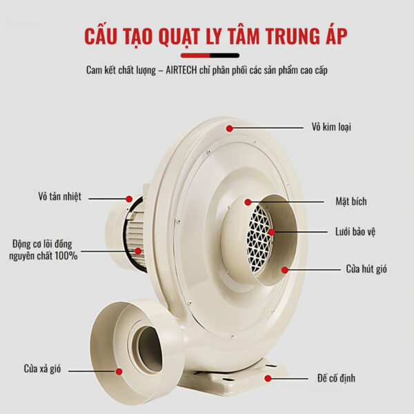 Quạt Ly Tâm Thổi Khí TZY Series
