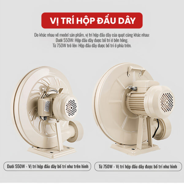 Quạt Ly Tâm Thổi Khí TZY Series